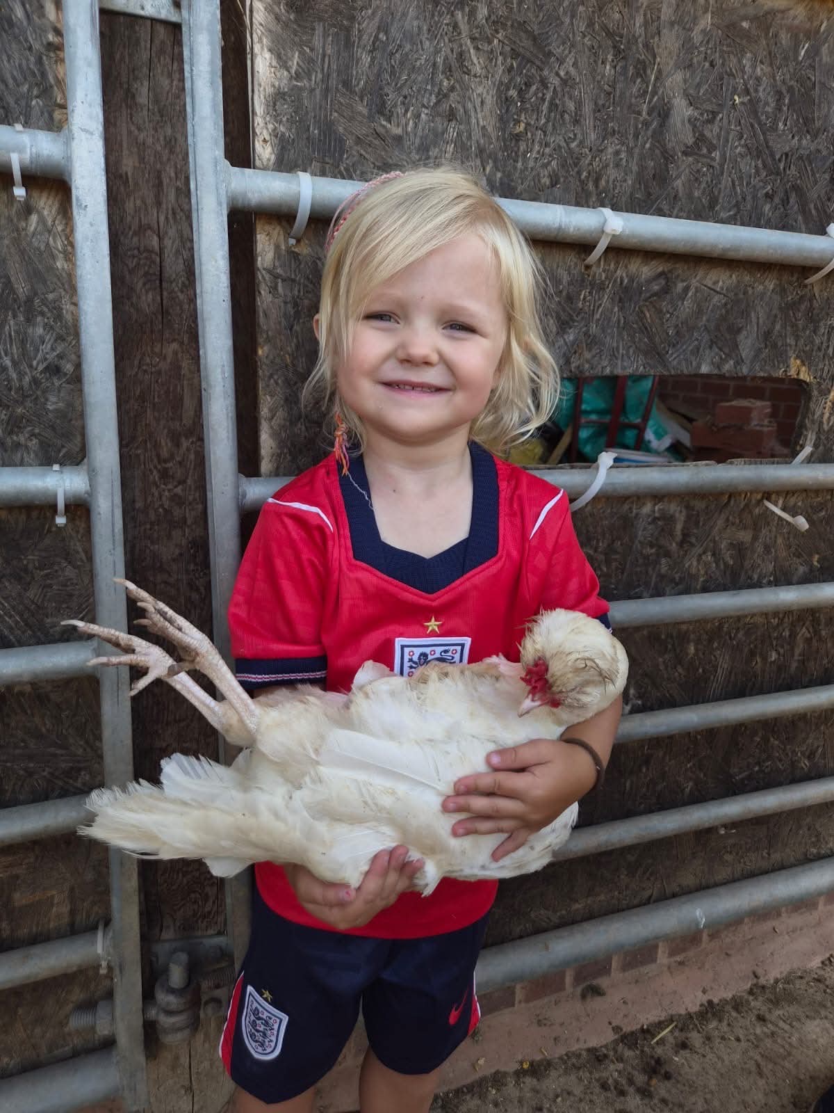 A visitor holding one of the rescued cream hens at Naylor’s Ark