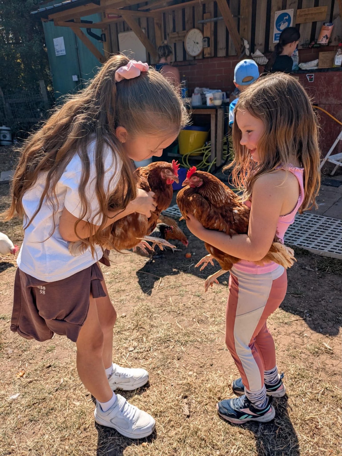 Two children carefully holding rescued brown hens in the sunshine